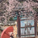 밀양향교 이미지