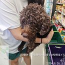 CU대전연축점 이미지