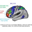 붓다와 뇌과학 12 | 전전두엽과 불성, 그리고 수행 이미지