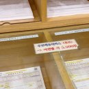 관악-현장-관악-10-08 | 여권 재발급 준비물 총정리, 사진 규격, 관악구청 방문, 발급 수수료, 소요기간