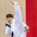 올림픽 태권도 이미지