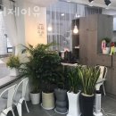 비룡로55번길27 이미지