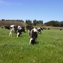 시즌글라스 이미지