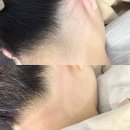 시연피아 이미지