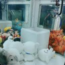 돌아이 뽑기방 이미지