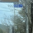 비바람 속에서 성공한 벚꽃 캠핑 통영 에이원 캠핑장 후기