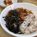 동아버스 | 속초 시외버스터미널 동아식당 혼밥 가능 아쉬웠던 후기