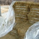 순한농장 이미지