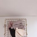 디자인솔트 이미지