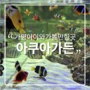 가평 아이랑 아쿠아가든카페 가평점 주말 웨이팅 주차 점심식사