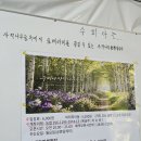 청주 가볼만한곳 수피아 자작나무농원, 숲테라피 자작나무숲 산책 후기