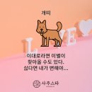 (주)스타사주