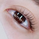 담플레닝 네이버블로그