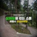 금강숲 무장애나눔길 조성 네이버블로그