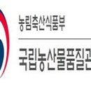 옥과리 이미지