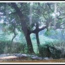 연리지 - 군포시 당정역로4번길 11 | 연리지