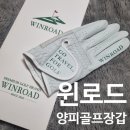 [제품리뷰] 가성비 윈로드 골프장갑 사용 후기
