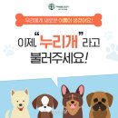 누리개 이미지