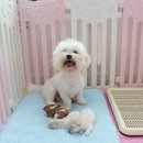 미스터브리더 이미지