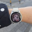 파이올린 | 사상 파이올린 두쫀쿠 두번째 웨이팅 성공후기