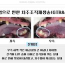 재생동물병원 이미지