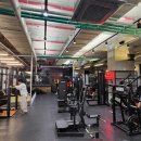 요가+근력운동 | 문정동헬스 요가만 하다가 근력 운동 병행하는 후기