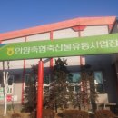 안양축협축산물유통사업장 이미지