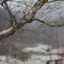 즘골마을 이미지