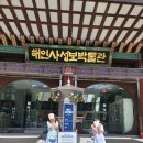 해인사성보박물관 | 경남 가볼만한곳 합천 해인사 팔만대장경 해인사성보박물관