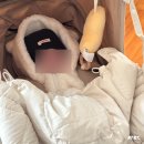 구스켓 | 겨울 아기 외출템 구스켓 패딩 아기띠워머 후기