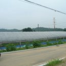 복돼지부동산공인중개사사무소 이미지