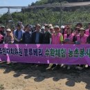 계산3리 충청타임즈