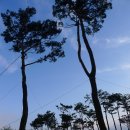 유성 족욕체험길 이미지