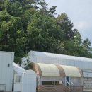 캠프타임 캠핑장 | 보령 캠프타임 캠핑장(우중캠) 대전근교, 가을캠핑(사계절 온수풀 수영장)