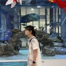 67빌리지