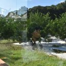 까페 곳 이미지