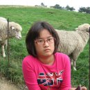 수현목장 이미지