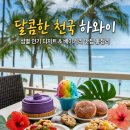 [하와이 미식 여행] 달콤한 천국! 섬별 인기 디저트 &amp; 베이커리 맛집 총정리 🍰🌺 이미지