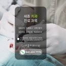 세종치과의원 네이버블로그
