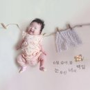알럽베베 백일상 후기