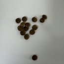 인섹트 파워 이미지