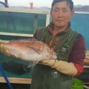 고향펜션 민박 이미지