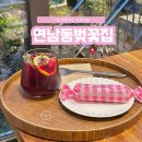 연남동 벚꽃 막차 탈수 있는 카페 연남동벚꽃집 : 평일 웨이팅 및 실시간 벚꽃 현황 (4.10 방문)