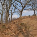 고죽1리 이미지