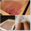 부산시청술집 소나이 제주도향토음식 있는 부산시청맛집