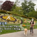 제토산업 이미지