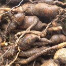 영주대박이할머니갱년기장애 에탁월하게좋은 국산백수오농장입니다^^1kg 35,000원이고***-***-****약주문가능합니다 이미지