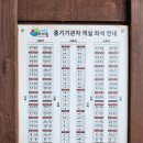 섬진강 레일바이크 이미지