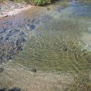 횡성 우천면사무소 이미지