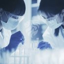 페라놀 익스트림정 성분, 효과, 후기 (단계별 복용법)